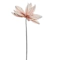 Miniatyrbild 1 av 5: FURNLUX DEKORATION HAPPIA ROSA 30CM