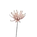 Miniatyrbild 1 av 6: FURNLUX DEKORATION HAPPIA ROSA 25CM