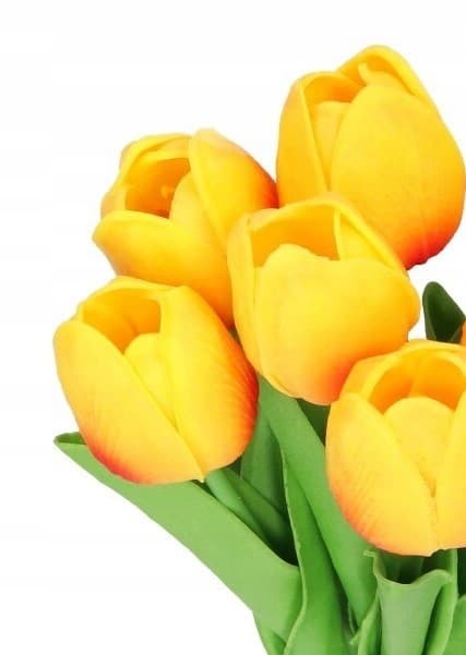 TULIPANER BUKETT AF TULIPANER GUMMIBELAGET GUMMI SILIKONE LIKE LIFE