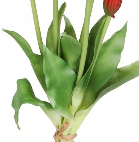 TULIPANER BUKETT AF TULIPANER GUMMIBELAGET GUMMI SILIKONE LIKE LIFE