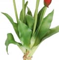 Miniatyrbillede 3 af 5: TULIPANER BUKETT AF TULIPANER GUMMIBELAGET GUMMI SILIKONE LIKE LIFE