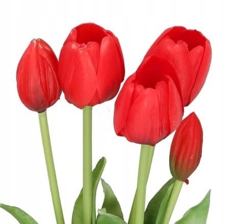 TULIPANER BUKETT AF TULIPANER GUMMIBELAGET GUMMI SILIKONE LIKE LIFE