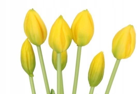 TULIPANER BUKETT MED TULIPANER GUMMIBELAGTE GUMMISILIKONE-LIKE LIFE 7 STK.