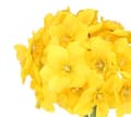 Miniatyrbild 2 av 7: DAFFFY PÅSKLILJOR BUKETT KONSTGJORDA BLOMMOR SOM LIVET 41 CM
