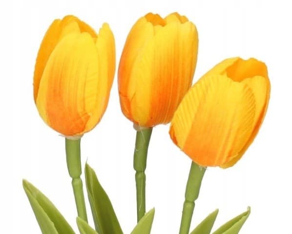 TULIPANER TULIPANER BUKET GUMMIBLOMSTER SOM LIVET