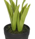 Miniatyrbillede 4 af 4: TULIPANER TULIPANER BUKET GUMMIBLOMSTER SOM LIVET