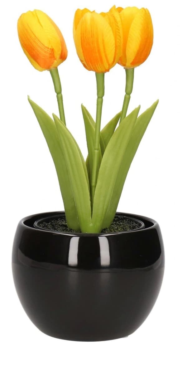 TULIPANER TULIPANER BUKET GUMMIBLOMSTER SOM LIVET