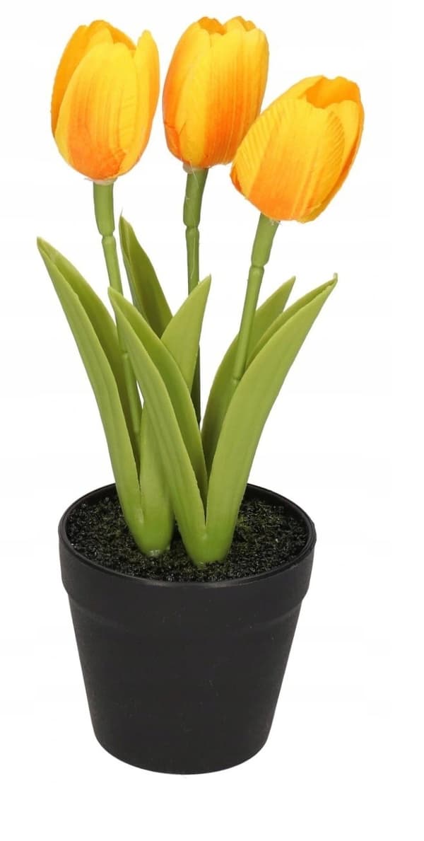 TULIPANER TULIPANER BUKET GUMMIBLOMSTER SOM LIVET