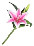Miniatyrbild 5 av 8: KONSTGJORDA BLOMMOR LILJEGRENAR SOM EN LIVSLILJEBLOMM