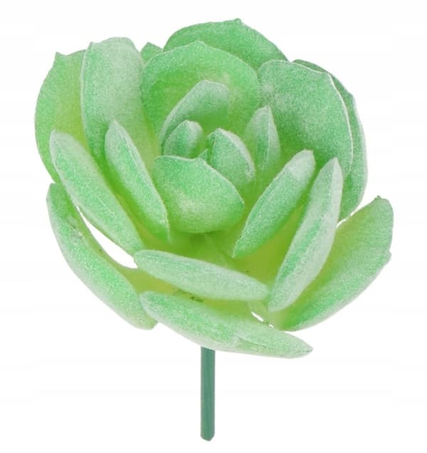 SUKKULENTER SUKKULENTER MINI KAKTUS KUNSTIGE BLOMSTER