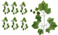 Miniatyrbillede 1 af 5: KUNSTIGE BLADGRENE TIL KRANS 12 STK. DRUER