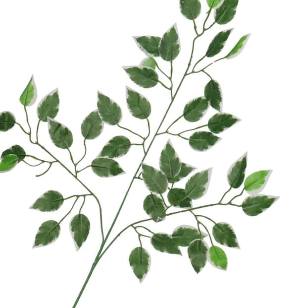 TEKOKUKAT LEHTI FICUS BENJAMIN LEHDET 60CM