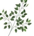 Pikkukuva 3 / 4: TEKOKUKAT LEHTI FICUS BENJAMIN LEHDET 60CM