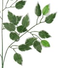 Pikkukuva 4 / 4: TEKOKUKAT LEHTI FICUS BENJAMIN LEHDET 60CM