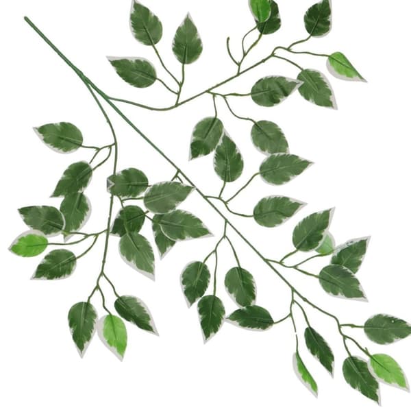 TEKOKUKAT LEHTI FICUS BENJAMIN LEHDET 60CM