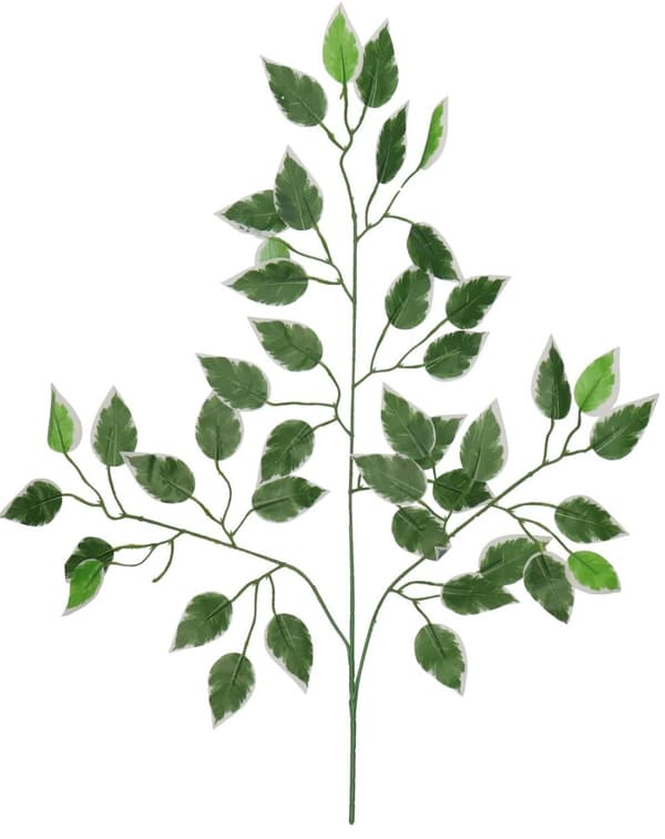 TEKOKUKAT LEHTI FICUS BENJAMIN LEHDET 60CM
