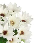 Miniatyrbillede 5 af 6: KUNSTIGE BLOMSTER PLANTER BUKET GRENE MARKBLOMSTER