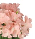Miniatyrbillede 5 af 6: KUNSTIGE BLOMSTER PLANTER BUKET HORTENSINSOM LIV