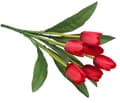 Pikkukuva 3 / 6: TULPPAANIKIMPU KUMIPÄÄLLYSTEINEN TULPPAANIPPU 36CM