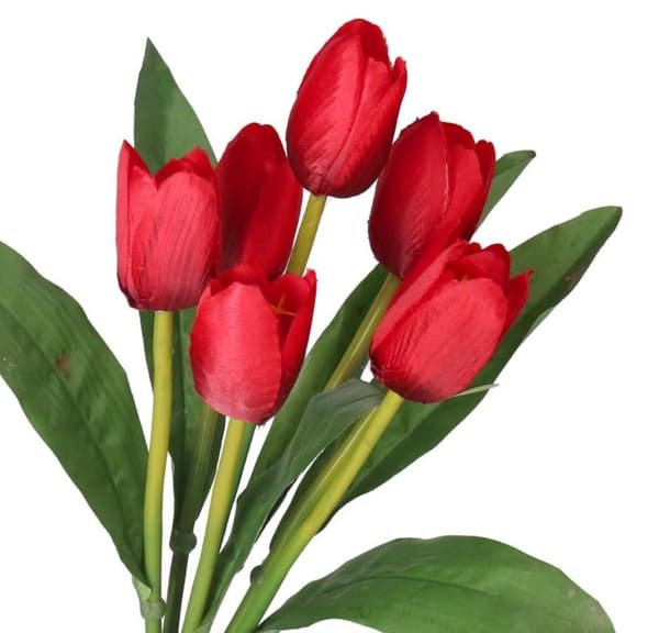 TULPPAANIKIMPU KUMIPÄÄLLYSTEINEN TULPPAANIPPU 36CM