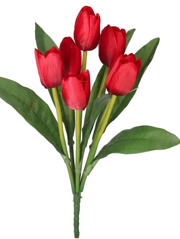 TULPPAANIKIMPU KUMIPÄÄLLYSTEINEN TULPPAANIPPU 36CM