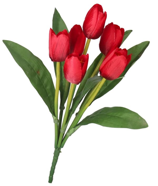 TULPPAANIKIMPU KUMIPÄÄLLYSTEINEN TULPPAANIPPU 36CM