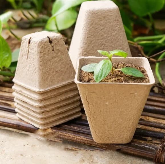 Torvkrukor för plantor 8 cm 20 st