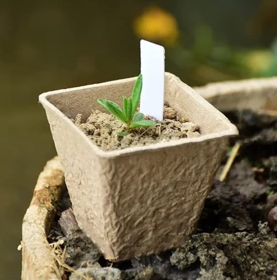 Torvkrukor för plantor 8 cm 20 st