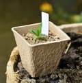 Miniatyrbild 7 av 8: Torvkrukor för plantor 8 cm 20 st