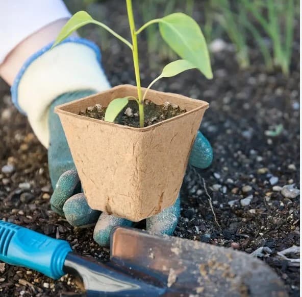 Torvkrukor för plantor 8 cm 20 st