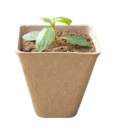 Torvkrukor för plantor 8 cm 20 st