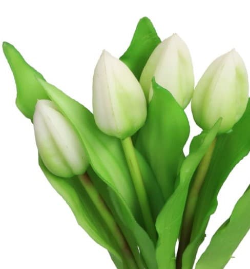 TULIPANER BUKET AF TULIPANER GUMMI GUMMIBELAGET SOM LIVET