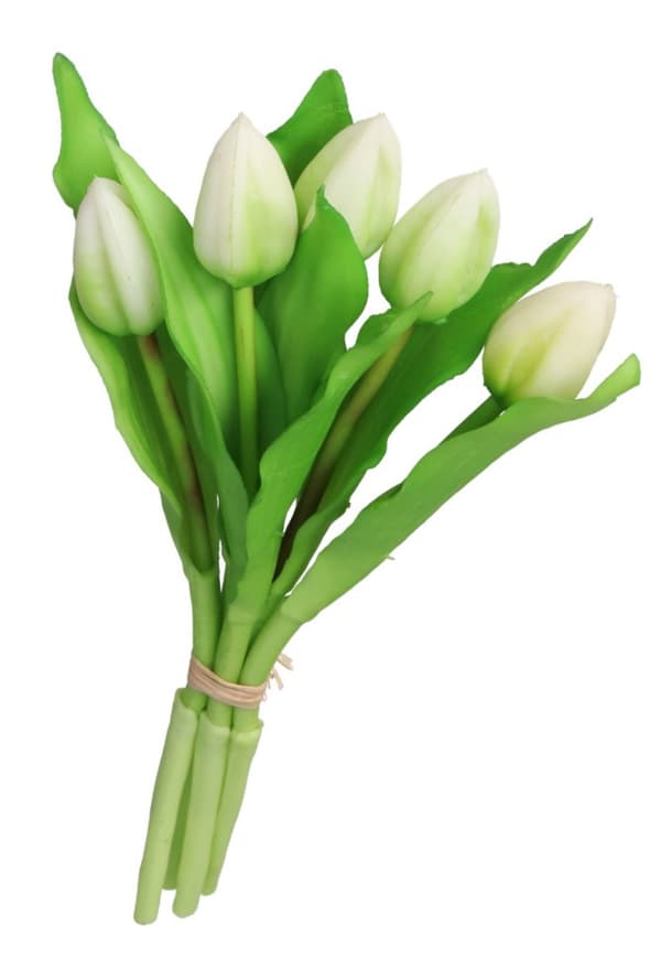 TULIPANER BUKET AF TULIPANER GUMMI GUMMIBELAGET SOM LIVET