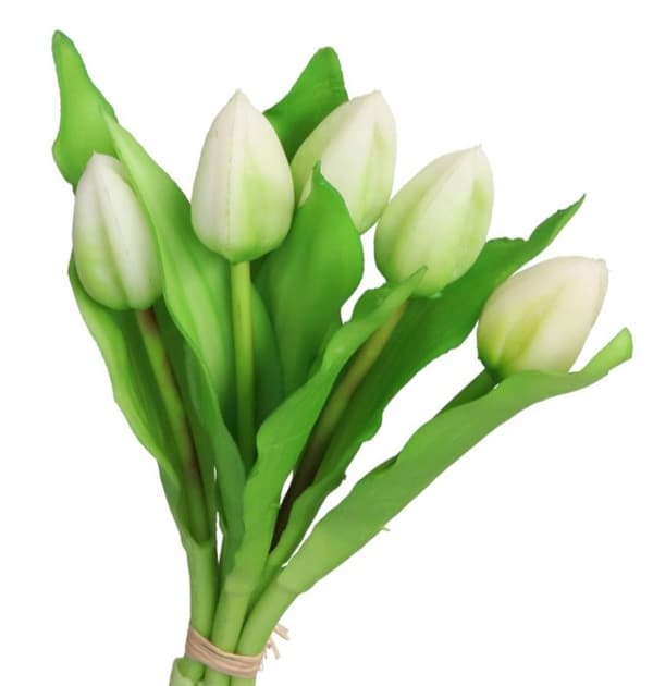 TULIPANER BUKET AF TULIPANER GUMMI GUMMIBELAGET SOM LIVET