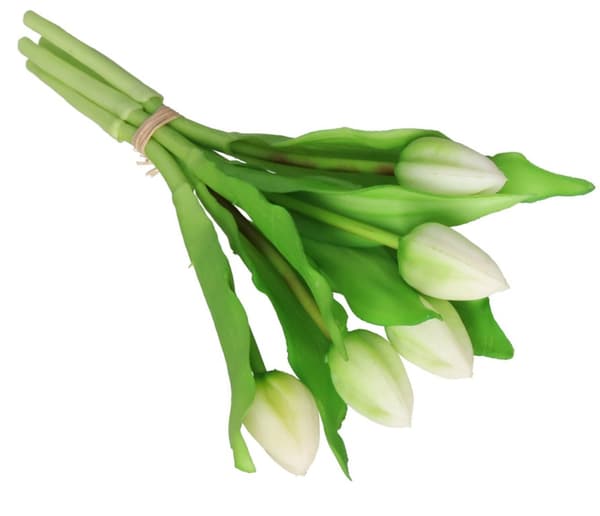 TULIPANER BUKET AF TULIPANER GUMMI GUMMIBELAGET SOM LIVET