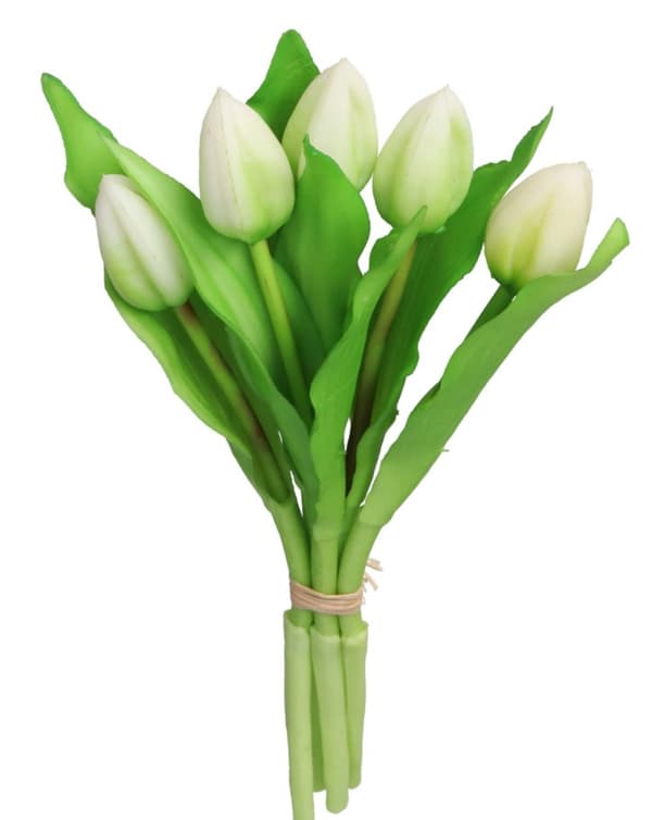 TULIPANER BUKET AF TULIPANER GUMMI GUMMIBELAGET SOM LIVET