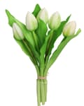 Miniatyrbillede 2 af 7: TULIPANER BUKET AF TULIPANER GUMMI GUMMIBELAGET SOM LIVET
