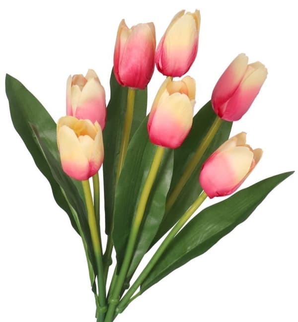 TULIPANER BUKETT MED GUMMIBELAGTE TULIPANER SOM LIVET 36 CM