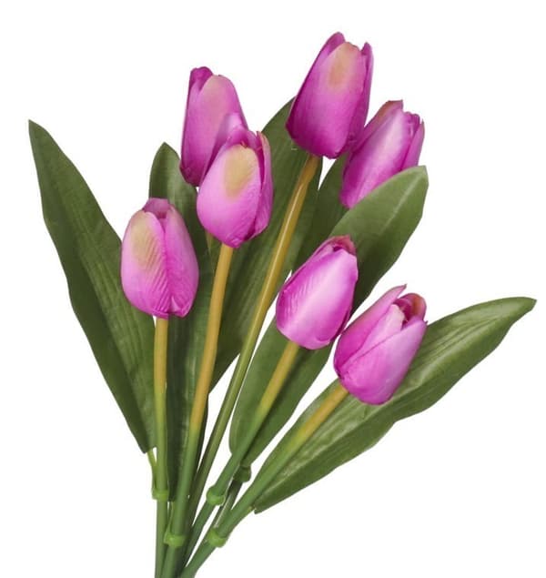 TULIPANER BUKETT MED GUMMIBELAGTE TULIPANER SOM LIVET 36 CM