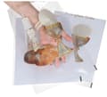Miniatyrbillede 2 af 2: FOLIEPOSE FØRSTE HELLIGE NADVER 5 STK. CELLOFAN
