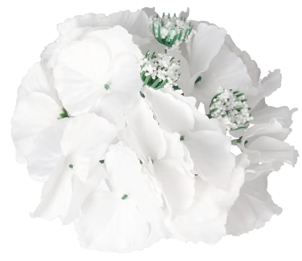 KUNSTIGE BLOMSTER HYDRANSE ÆLTHOVED XXL