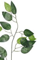 Miniatyrbillede 2 af 3: KUNSTIGE BLOMSTER BLAD FICUS BENJAMIN BLADE 60CM