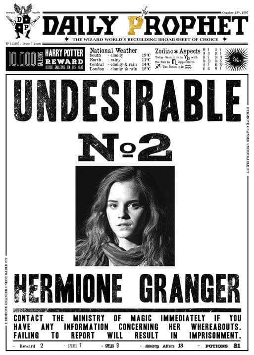 A3 Print - Harry Potter - Daily Prophet - Hermione Granger No 2