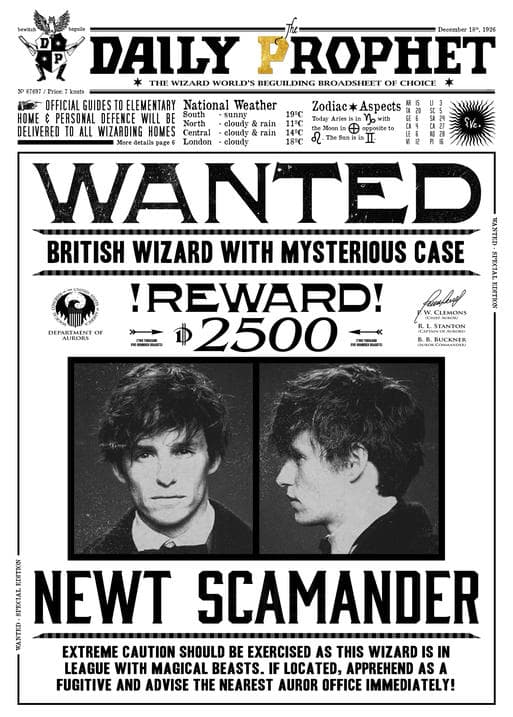 A3 Print - Harry Potter - Daily Prophet - Wanted Newt Scamander