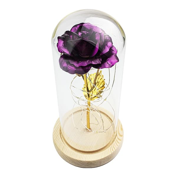 Ikuisuusruusu valonauhalla - Violetti