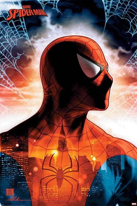 Spider-Man - Protector Of The City