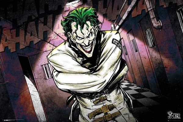 DC Comics - Joker Asylum