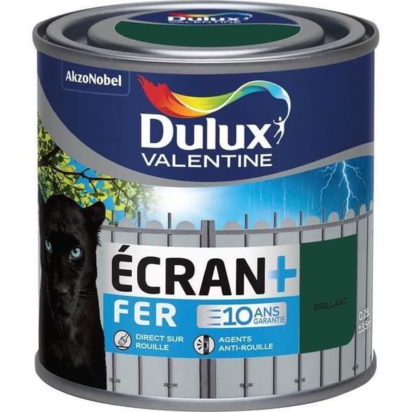 Målad järn glans skärm + 250 mL - basque grön