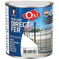 Miniatyrbild 1 av 3: Direkt målning på järn - OXI - 250 mL - Grön bladverk - Blank - Rostskyddande