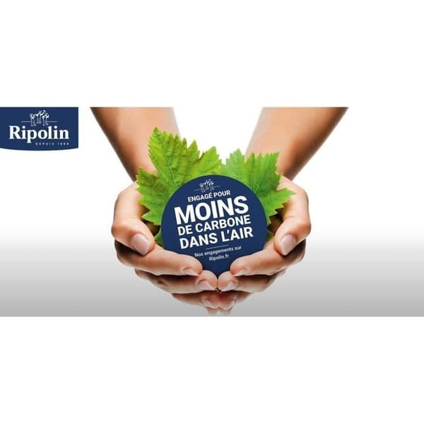 RIPOLIN SKYDD EXTREME FACADE TON PIERRE Mat 10 L